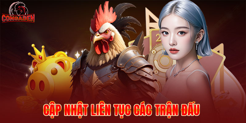 Trang cá cược cập nhật trận đấu liên tục hàng ngày