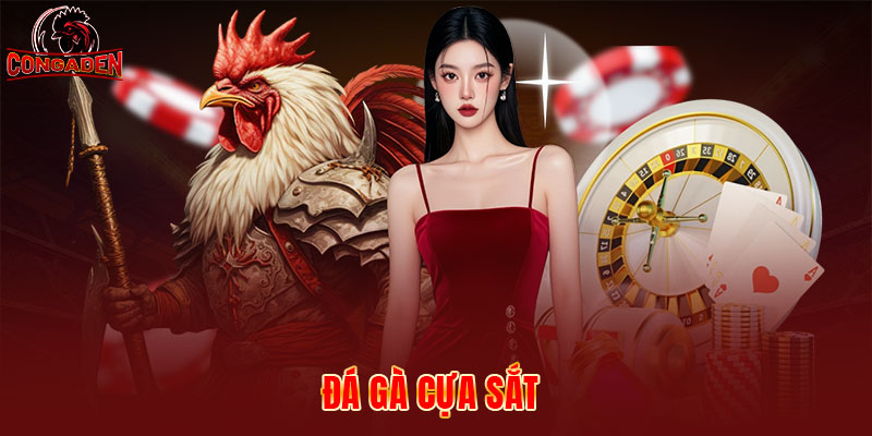 Đá gà cựa sắt có tốc độ thi đấu nhanh