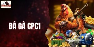 đá gà CPC1