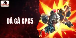 đá gà CPC5
