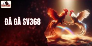 đá gà SV368