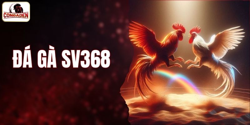 đá gà SV368