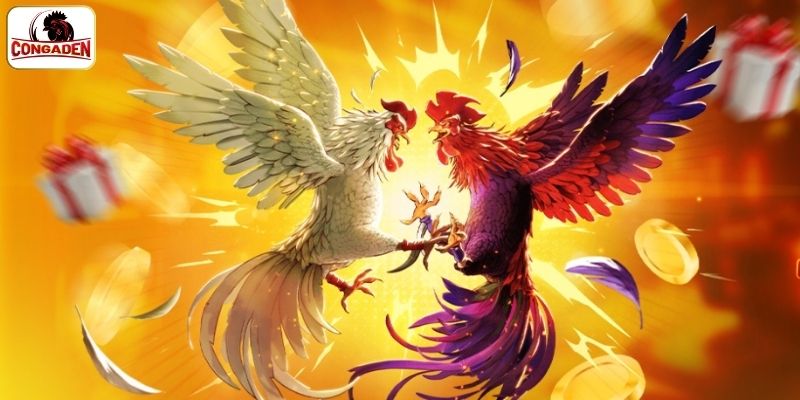 Điểm cực nổi bật khi xem bồ CPC1 tại CONGADEN
