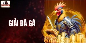 giải đá gà