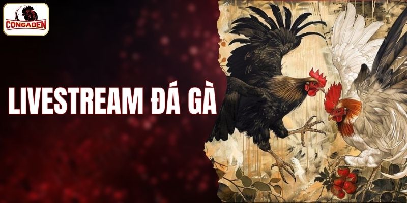 livestream đá gà