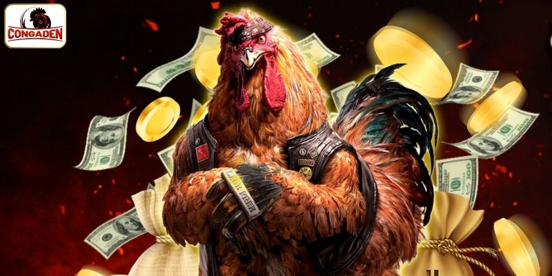 Những thông tin cực quan trọng cần nắm khi xem